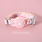 Pet Positioning Anti-lost Tracking Collar Hand Holding Rope