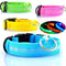 Nylon LED Pet Dog Luminous Collar Night Safety Flashing Glow in Dark Dog Cat Leash Adjustable Pet Supplies