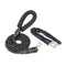 Dogs With One Tow Two Leashes Pets Double Heads